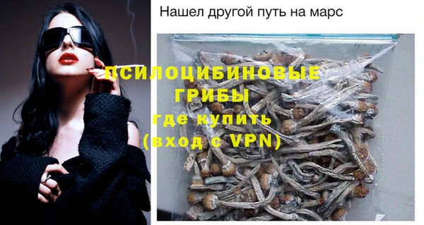 трава Архангельск