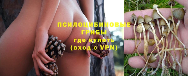 таблы Нижний Тагил
