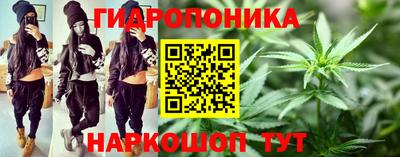индика Абинск