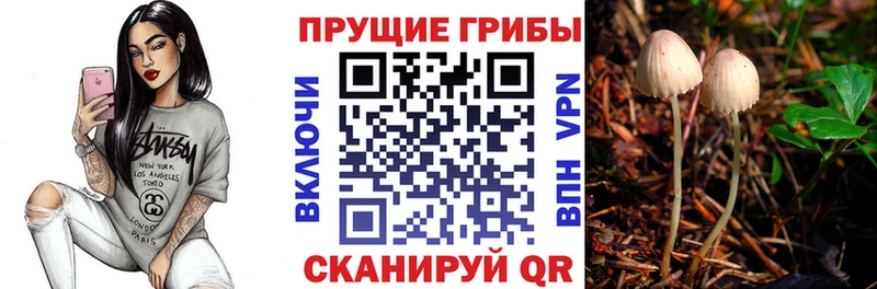 Псилоцибиновые грибы Psilocybe  гидра ONION  Амурск  наркотики 